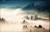 Walljar - Dense Fog - Muurdecoratie - Canvas schilderij