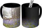Magische Mok - Foto op Warmte Mok - Bomen - Hyacint - Licht - 350 ML - Uitdeelcadeautjes