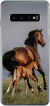 Geschikt voor Samsung Galaxy S10 hoesje - Dieren - Paarden - Veulen - Siliconen Telefoonhoesje