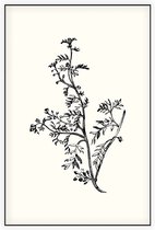 Kleine Varkenskers zwart-wit (Lesser Wart Cress) - Foto op Akoestisch paneel - 80 x 120 cm
