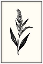 Peperkers zwart-wit (Broad-Leaved Pepperwort) - Foto op Akoestisch paneel - 150 x 225 cm