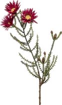 Kunstbloem Phaenocoma fuchsia 61 cm