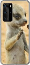 Telefoonhoesje Geschikt voor Huawei P40 Pro hoesje - Stokstaartjes - Bruin - Dier - Siliconen Telefoonhoesje