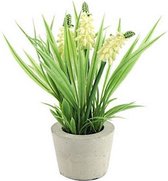 kunstplant Muscari 21 cm polysteen groen/crÃ¨me