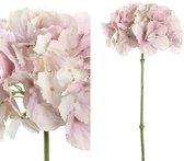 PTMD Hortensia Kunsttak - 13 x 23 x 50 cm - Roze