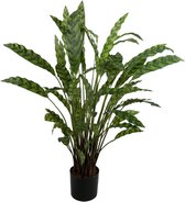 Viv! Home Luxuries Calathea - kunstplant - 82cm - groen - topkwaliteit Calathea / Kunststof / groen