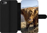 Bookcase Geschikt voor iPhone 7 telefoonhoesje - Schotse Hooglander - Berg - Sneeuw - Met vakjes - Wallet case met magneetsluiting