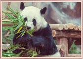 Poster Met Metaal Rose Lijst - Verlegen Panda Poster