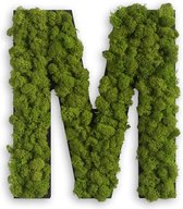 Stylegreen Alfabet letters A t/m Z - Reindeer moss - 25cm