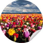 Muursticker Kleurrijk Tulpenveld