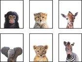 Schilderij Canvas Jungle Set 6 Baby Aapje, Zebra, Giraffe, Olifant, Cheeta en Tijger / Dieren Schilderij / Baby - Kinderkamer Schilderij / Babyshower Cadeau / Muurdecoratie / 40x30