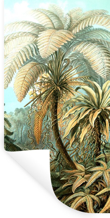 Stickers Stickers muraux - Design - Arbres - Plantes - Ernst Heackel - 80x160 cm - Feuille adhésive