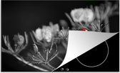 KitchenYeah® Inductie beschermer 81x52 cm - Zwart-wit foto van een rode lieveheersbeestje op een plant - Kookplaataccessoires - Afdekplaat voor kookplaat - Inductiebeschermer - Inductiemat - Inductieplaat mat