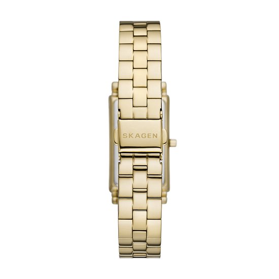 Montre Femme Skagen HAGEN SKW3098 22 mm - Or