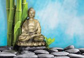 Fotobehang - Vlies Behang - Boedha - Buddha - Boeddha - Budha - Spa - Wellness - Stenen - 368 x 254 cm