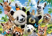 Fotobehang - Vlies Behang - Grappige Dieren Selfie - Dolle Beestenboel - Kinderbehang - Giraffe - Panda - 368 x 254 cm