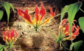 Fotobehang - Vlies Behang - Rode Bloemen - 254 x 184 cm