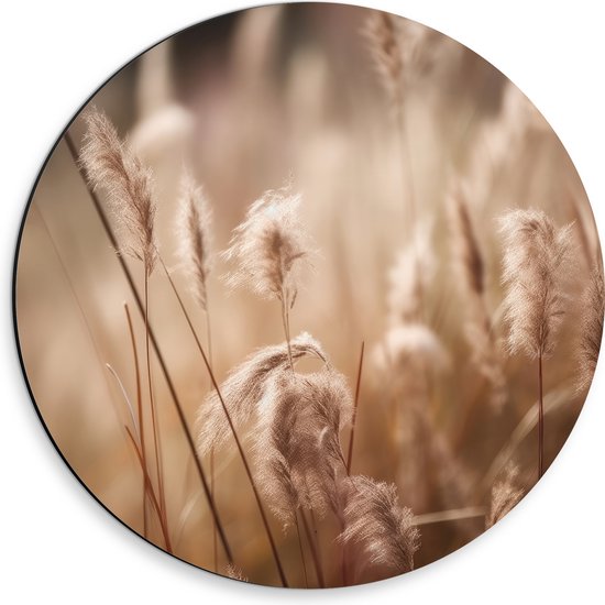 Dibond Muurcirkel - Hoge Droge Grassen op Mistige Ochtend - 30x30 cm Foto op Aluminium Muurcirkel (met ophangsysteem)