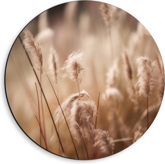 Dibond Muurcirkel - Hoge Droge Grassen op Mistige Ochtend - 40x40 cm Foto op Aluminium Muurcirkel (met ophangsysteem)