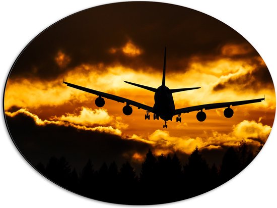 Dibond Ovaal - Silhouet van Passagiersvliegtuig boven de Bomen tijdens Zonsondergang - 56x42 cm Foto op Ovaal (Met Ophangsysteem)