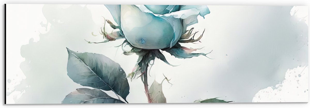 Dibond - Aquarel Verf Tekening van Lichtblauwe Roos - 60x20 cm Foto op Aluminium (Met Ophangsysteem)