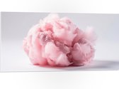 PVC Schuimplaat - Wolk van Zoete Roze Suikerspin - 100x50 cm Foto op PVC Schuimplaat (Met Ophangsysteem)