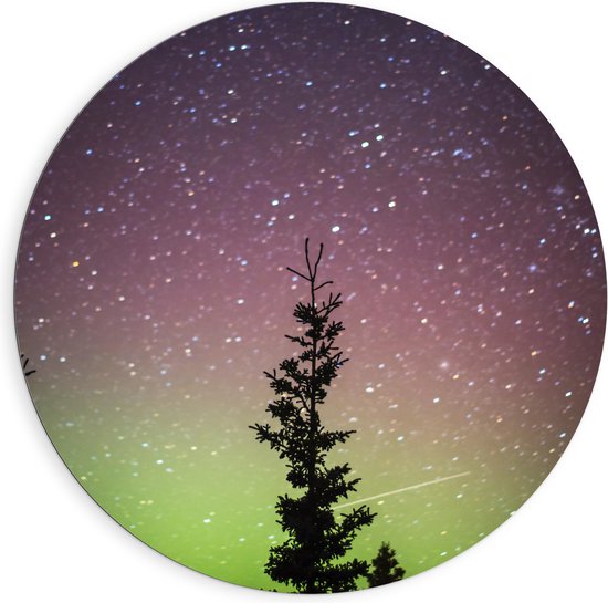 Dibond Muurcirkel - Bomen - Sterren - Noorderlicht - Paars - 90x90 cm Foto op Aluminium Muurcirkel (met ophangsysteem)