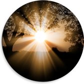 Dibond Muurcirkel - Bomen - Landschap - Zon - Zonsondergang - 50x50 cm Foto op Aluminium Muurcirkel (met ophangsysteem)