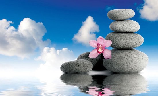 Papier peint Pierres | Bleu | 312x219 cm