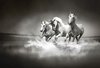 Fotobehang - Vlies Behang - Unicorns in het Water - 208 x 146 cm