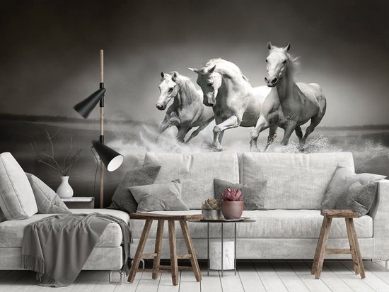 Papier peint Chevaux | Noir et blanc | 312x219 cm