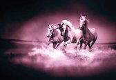 Fotobehang - Vlies Behang - Galopperende Unicorns in het Water - 312 x 219 cm