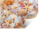 Stickers muraux - Film autocollant - Coquillages - Perles - Étoile de mer - Plage - 80x60 cm - Film adhésif - Stickers muraux Chambre d'enfant - Papier peint autocollant