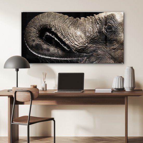 MuchoWow® Peinture sur verre 120x60 cm - Peinture acrylique sur verre - Éléphant - Animaux - Zwart - Nature - Photo sur verre - Peintures