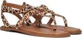 Notre-V 981021 Sandalen - Dames - Bruin - Maat 40