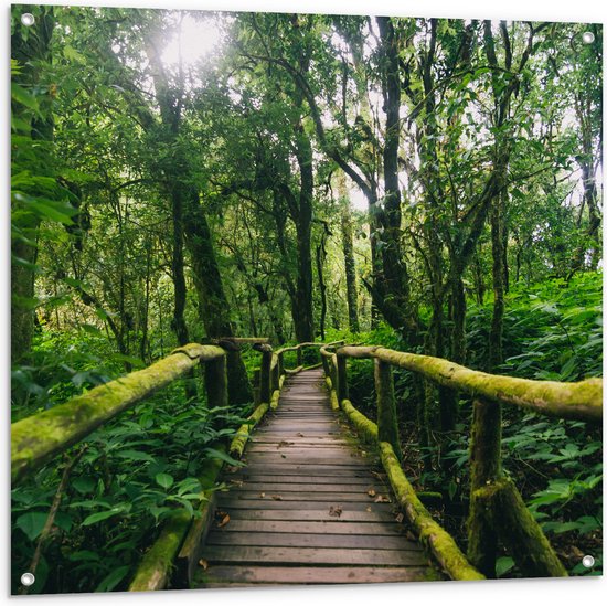 Tuinposter – Houten Brug Volgroeid met Mos in het Bos - 100x100 cm Foto op Tuinposter (wanddecoratie voor buiten en binnen)