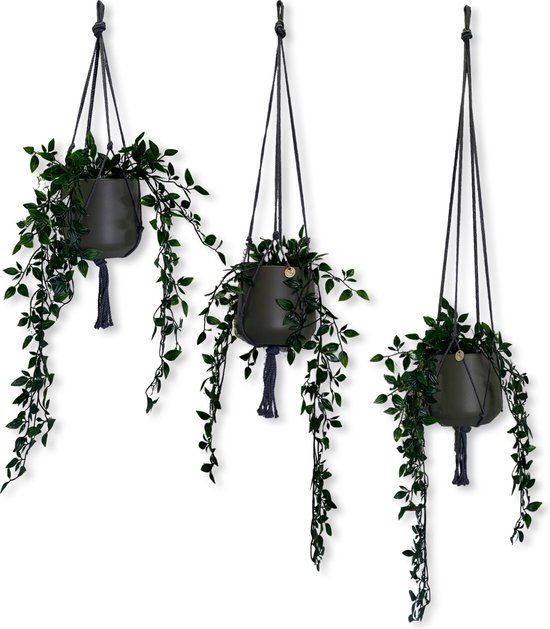 Foto: Voordeelset van 3 plantenhangers grijs 80 100 en 120 cm katoen let op excl pot macram handgemaakt in nederland inclusief verzendkosten