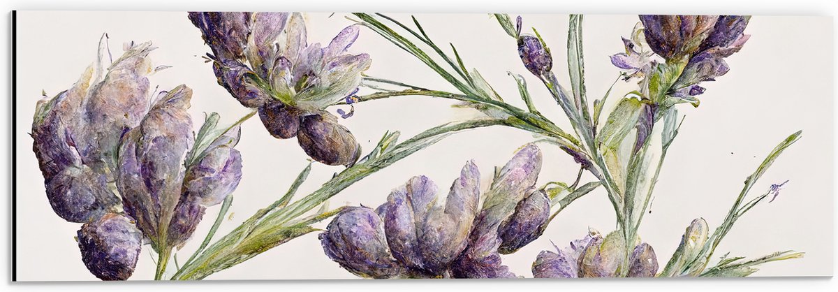 Dibond - Aquaruel Verf Tekening van Lavendel Bloemen - 60x20 cm Foto op Aluminium (Met Ophangsysteem)