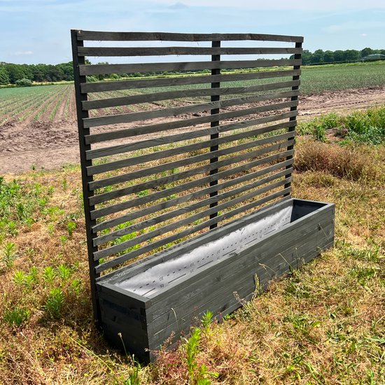 AMISHOUT - Plantenbak met klimrek 200x40x40 (180) cm - Antraciet