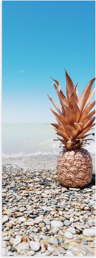 Poster Glanzend – Zee - Eten - Annanas - Stenen - Water - 20x60 cm Foto op Posterpapier met Glanzende Afwerking