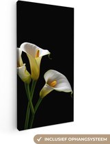 Canvas Schilderij Planten - Bloemen - Wit - Natuur - Botanisch - 20x40 cm - Wanddecoratie