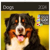 Honden Kalender 2024
