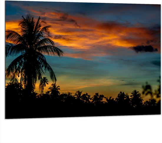 Dibond - Silhouet van Hoge Boom bij Kleinere Bomen onder Oranje Wolken - 100x75 cm Foto op Aluminium (Met Ophangsysteem)