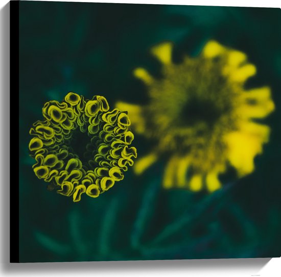 Canvas - Bloemen - Natuur - Geel - Groen - 60x60 cm Foto op Canvas Schilderij (Wanddecoratie op Canvas)