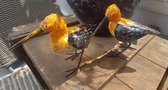 Metalen vogels, set van 2 metalen vogels, hand gemaakte vogels, Oranje vogels