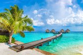 Fotobehang Tropische Vakantiehuizen Op De Malediven - Vliesbehang - 368 x 254 cm