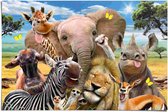 Poster Wildlife Funnies 61x91,5 cm