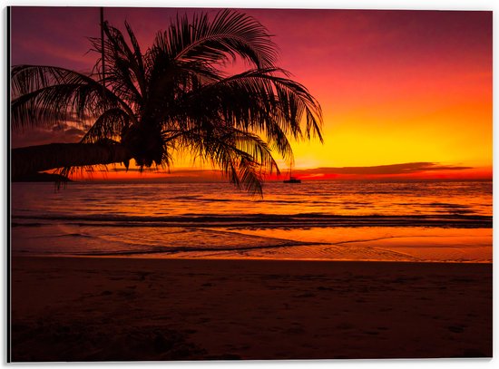 Dibond - Silhouet van Palmboom Hangend over het Strand tijdens Rozekleurige Zonsondergang - 40x30 cm Foto op Aluminium (Met Ophangsysteem)