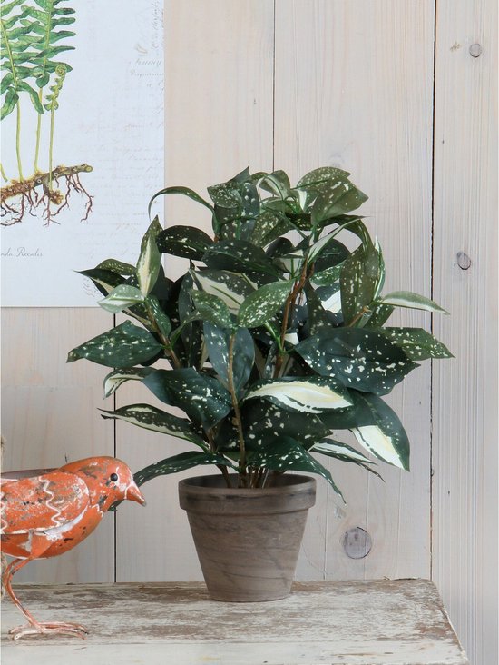 Groene kunstplant met witte spikkels, in een grijze pot, op een tafel met decoratie.