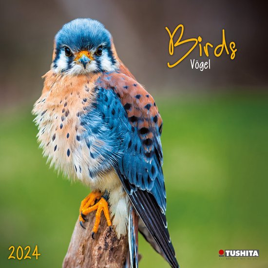 Oiseaux dans notre calendrier de Garden 2024